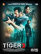 Tiger 3 2023 Movie Download 480p 720p 1080p 2160p 4K FilmyMeet